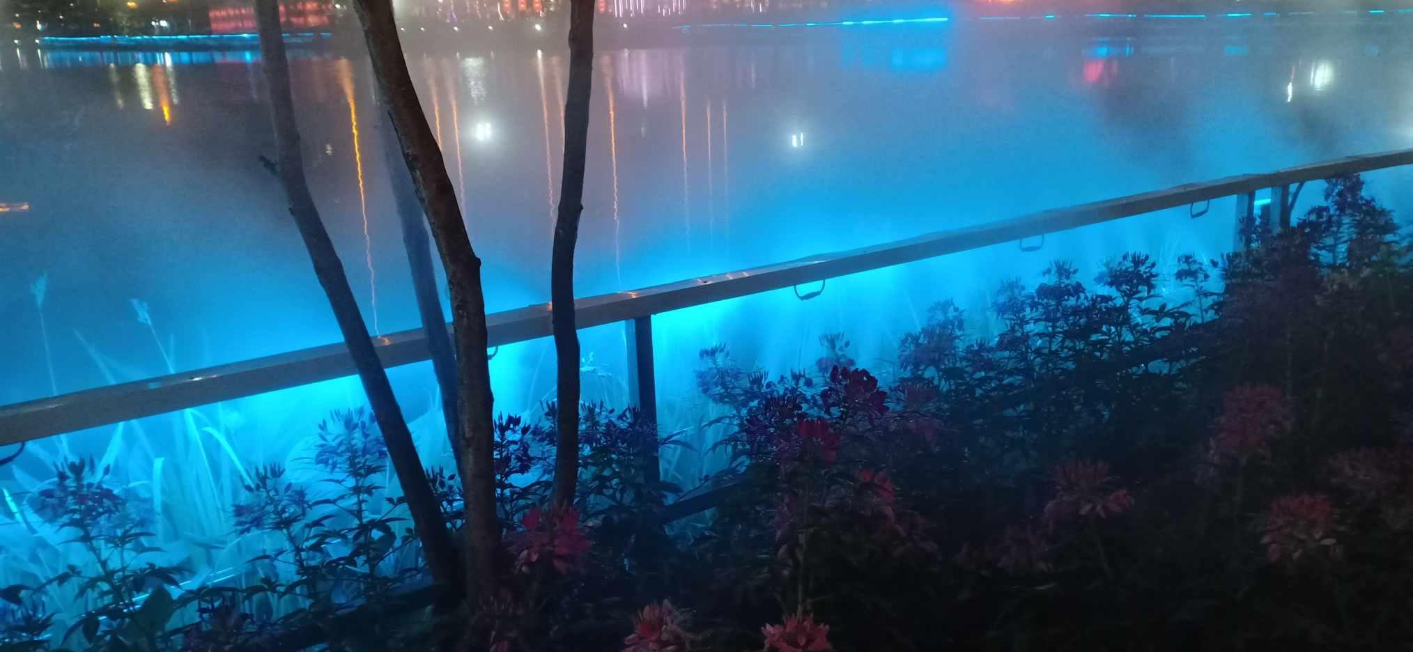 同样是奥运冠军,为何杨倩和全红婵的口碑却大不相同?-知识星球平台,带你开启知识之旅